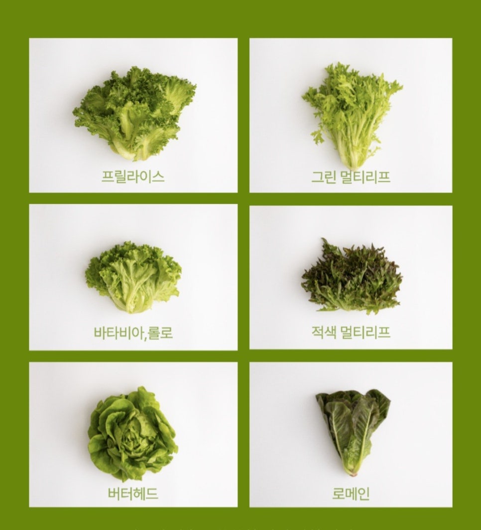 유럽샐러드 이미지