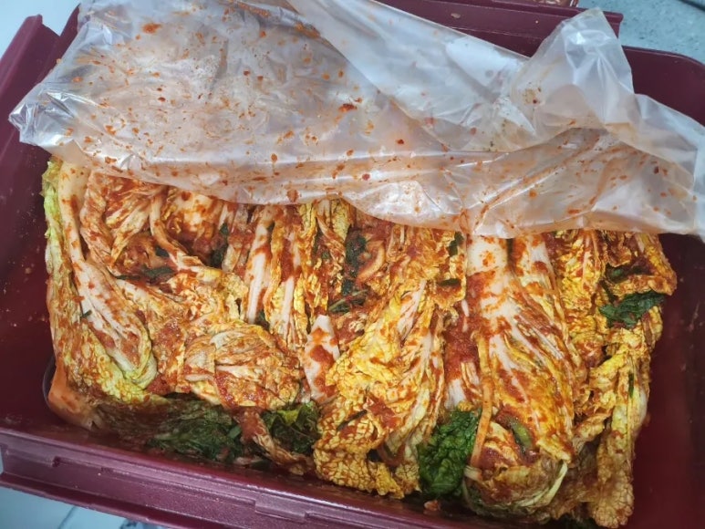 영숙언니네 이미지