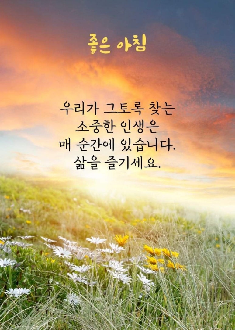 법무법인태진 이미지