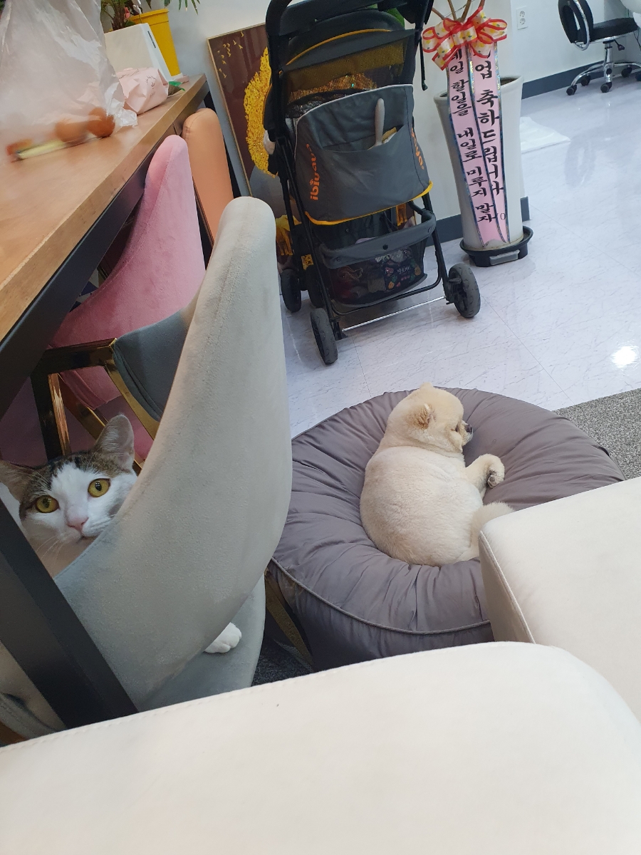 아롱네일 이미지
