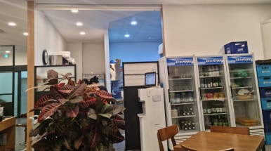 낙지무교동홍낙 이미지
