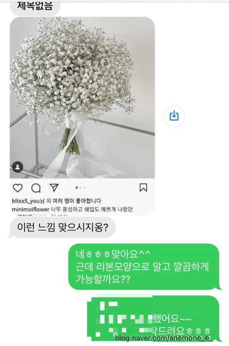파쳄플라워 이미지