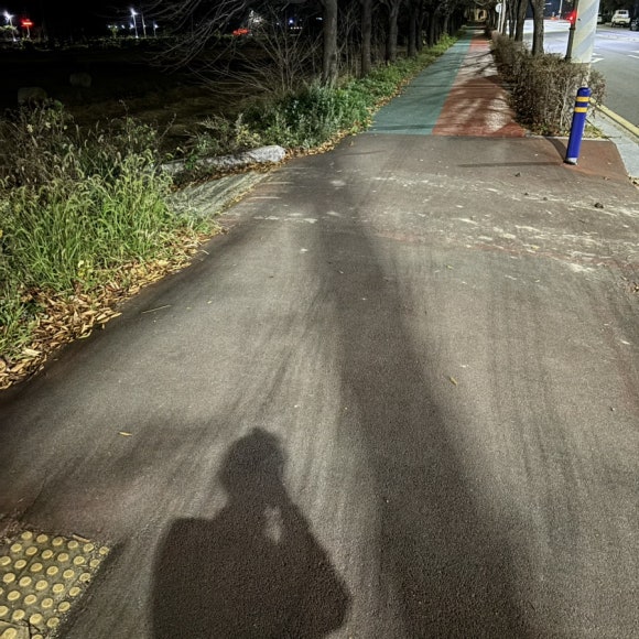 유가네 충북증평점 이미지