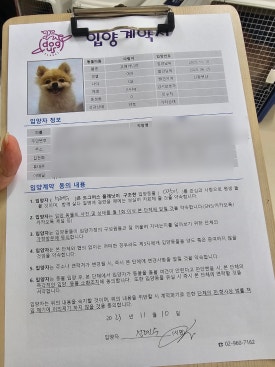 다람플레닛 이미지