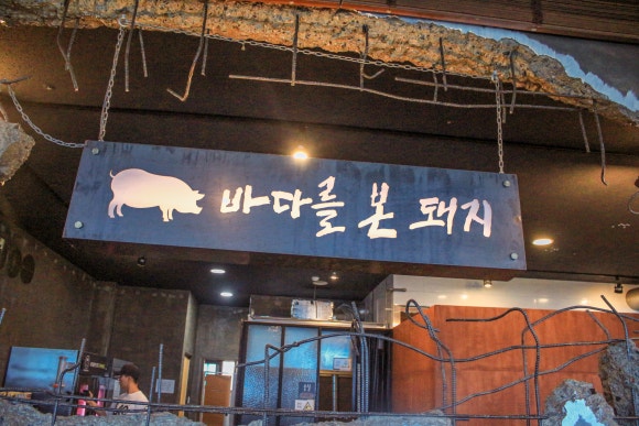 바다를품은돼지 이미지