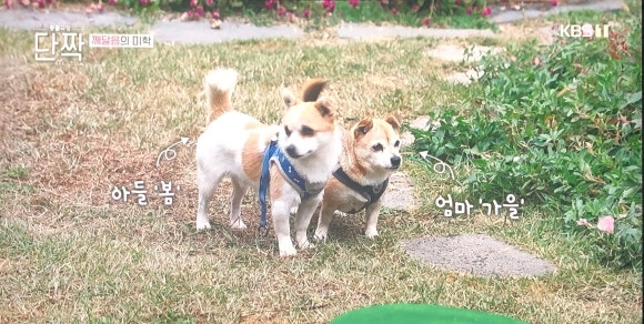 가온힐링문화체험연구소 이미지