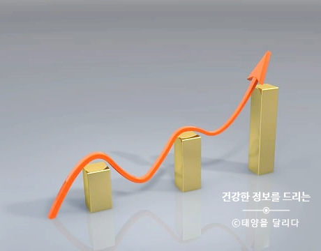 카페티모르 이미지