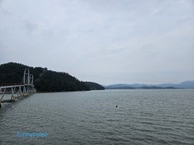 선화네푸소 이미지