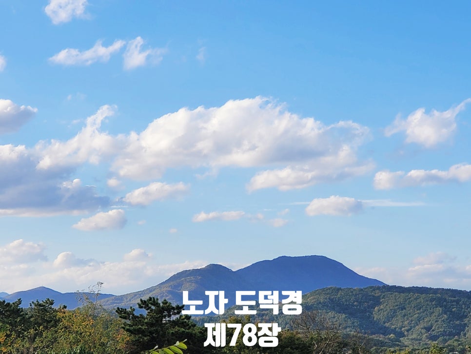 마치78 이미지