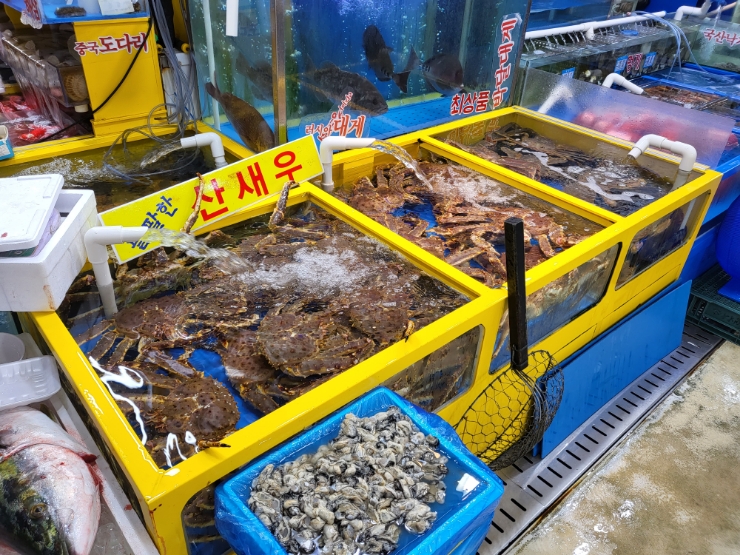 대어나라 이미지