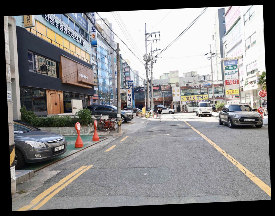 주 세계장어 이미지