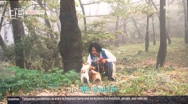 가온힐링문화체험연구소 이미지