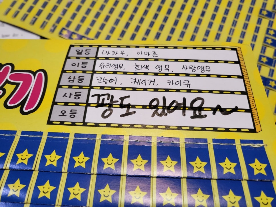앵페스타 이미지