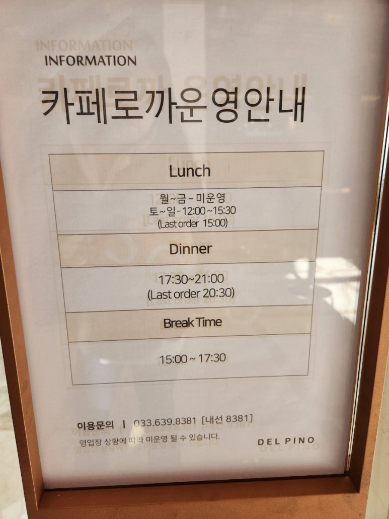 로카와델피노1 이미지