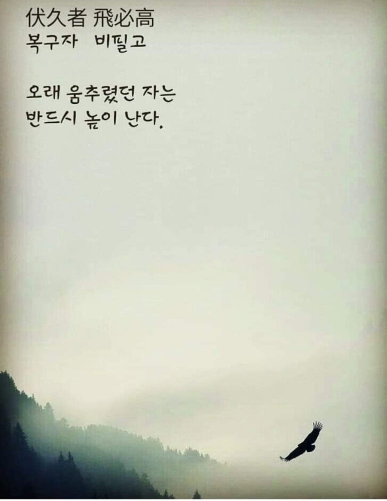 법무법인태진 이미지
