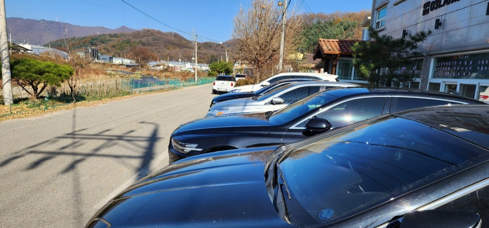 만선갑오징어 이미지