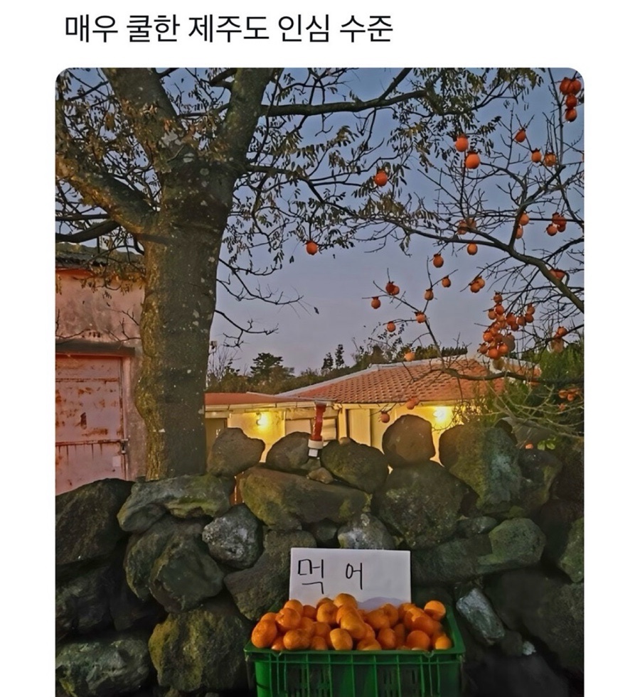 선영전기 이미지