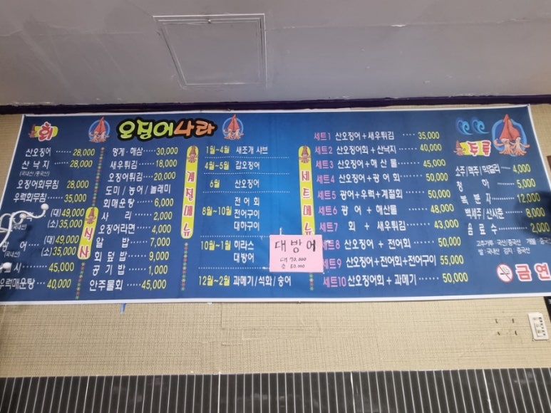 오징어나라 이미지