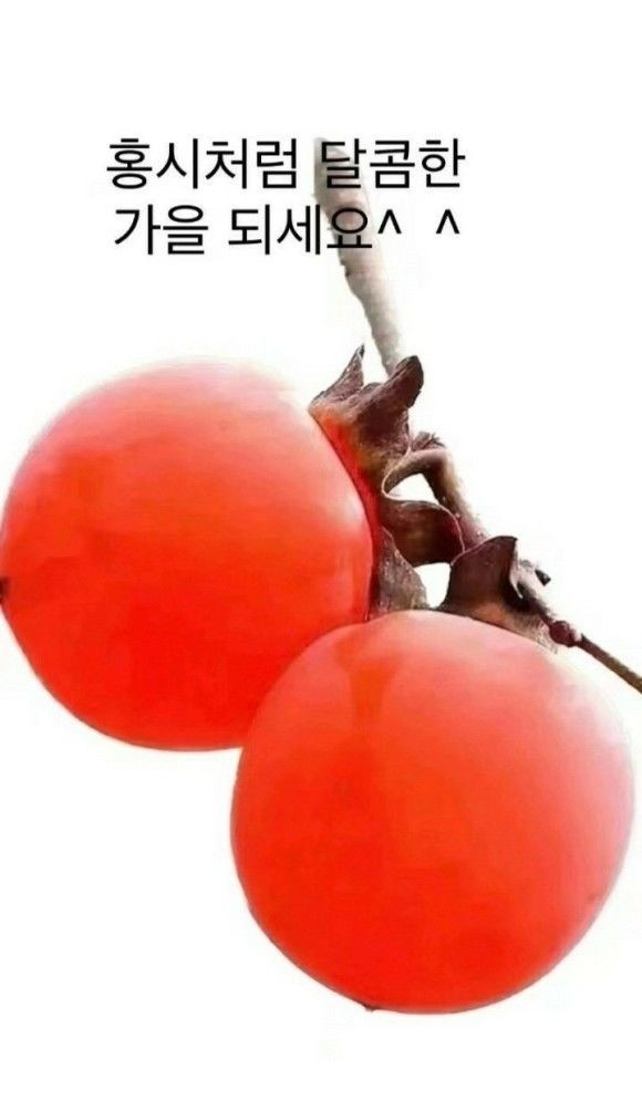 만사형통 이미지