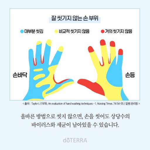 바디퍼포먼스짐 이미지