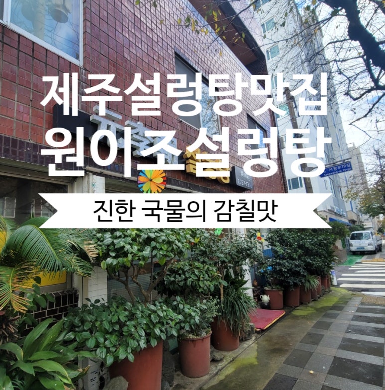 원이조 이미지