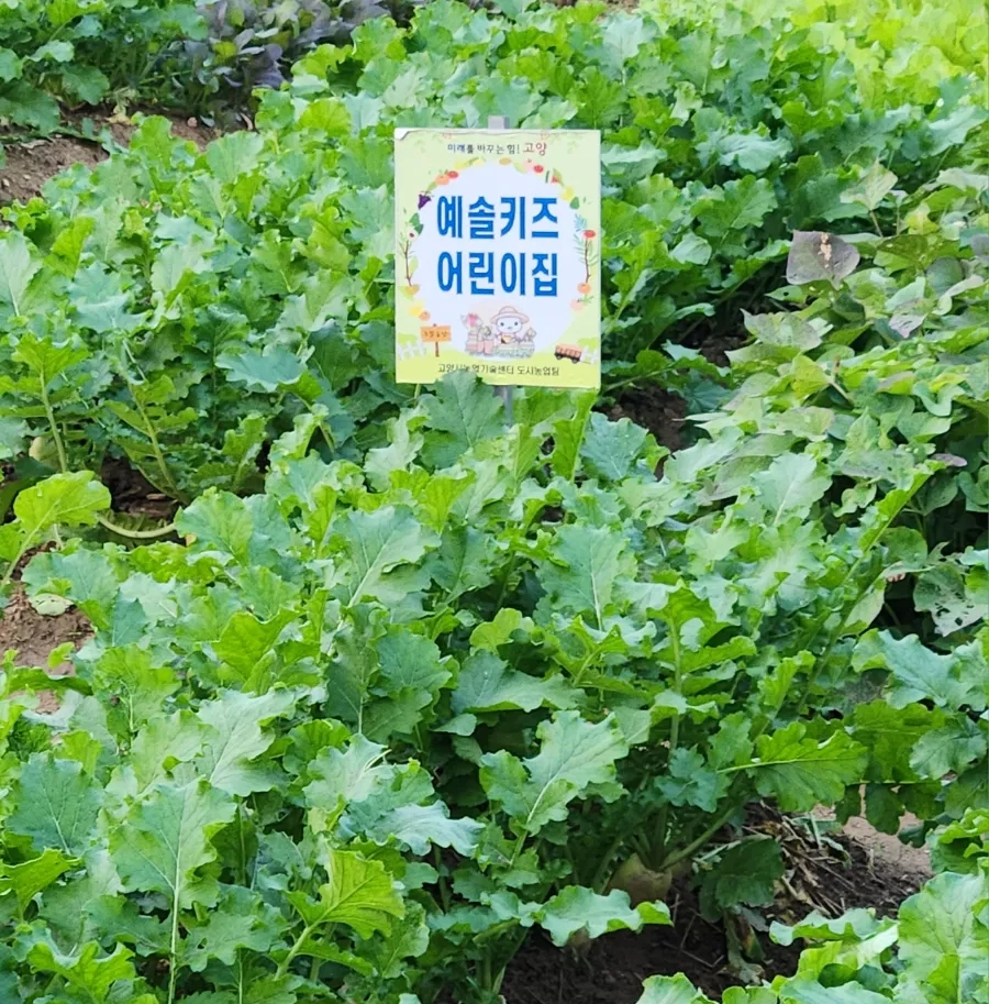 예솔어린이집 이미지