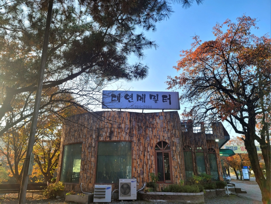 메밀터막국수 이미지