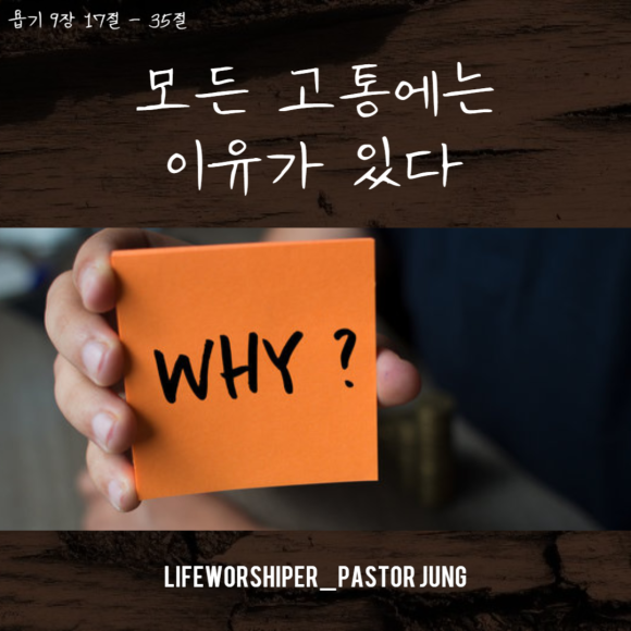 라이프T 이미지