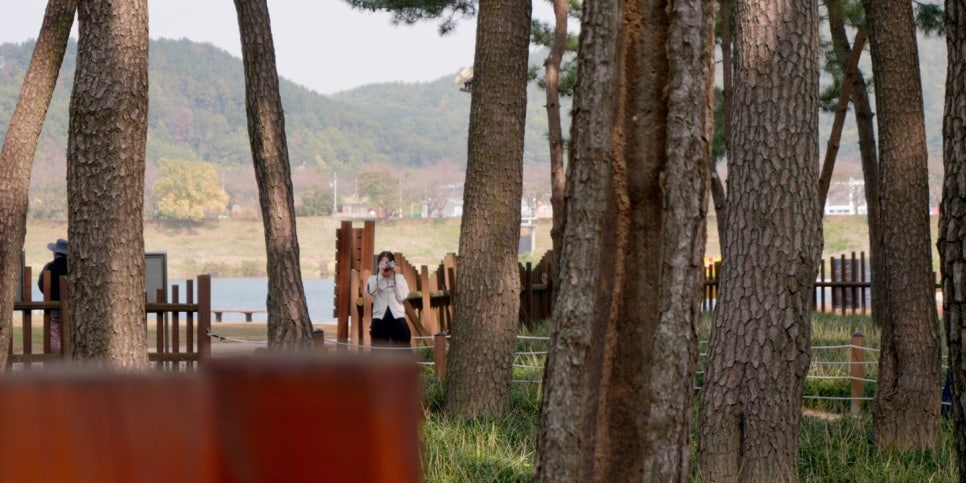 윤가네떡 이미지