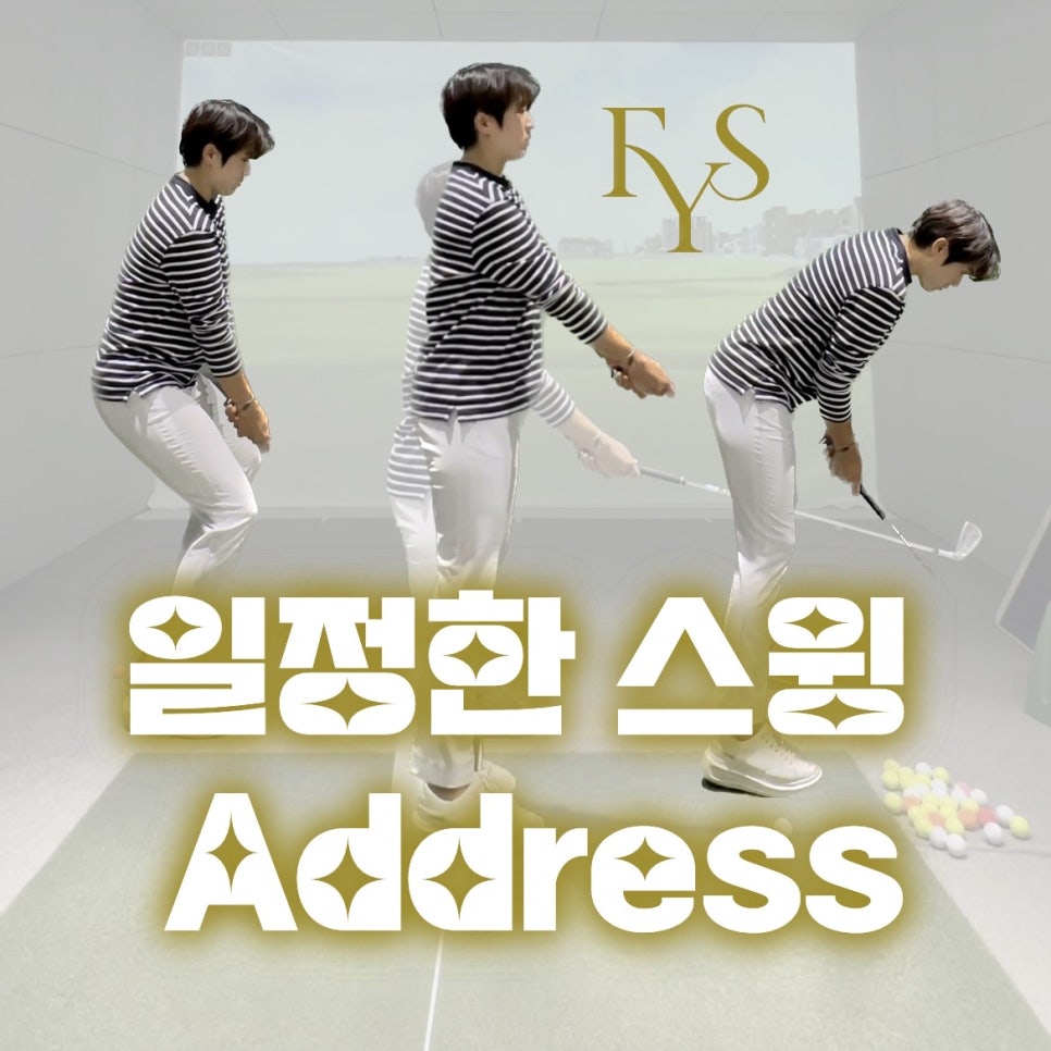 와이에스투어 이미지