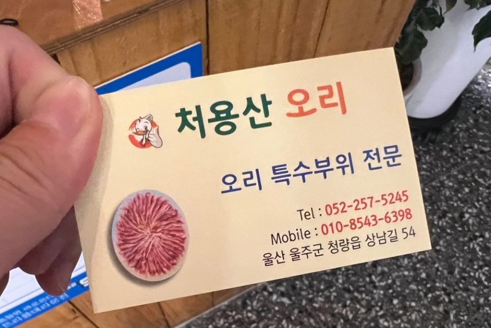처용산오리 이미지