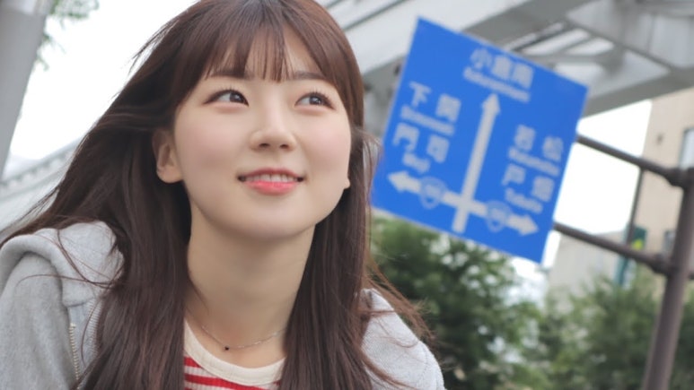대한여행사 이미지