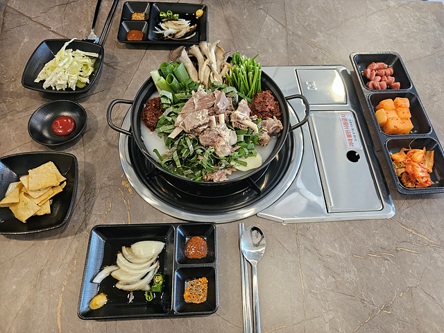 양이야기 이미지