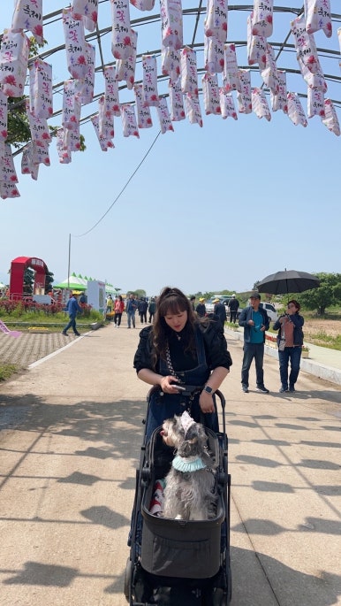 쏨네일 이미지