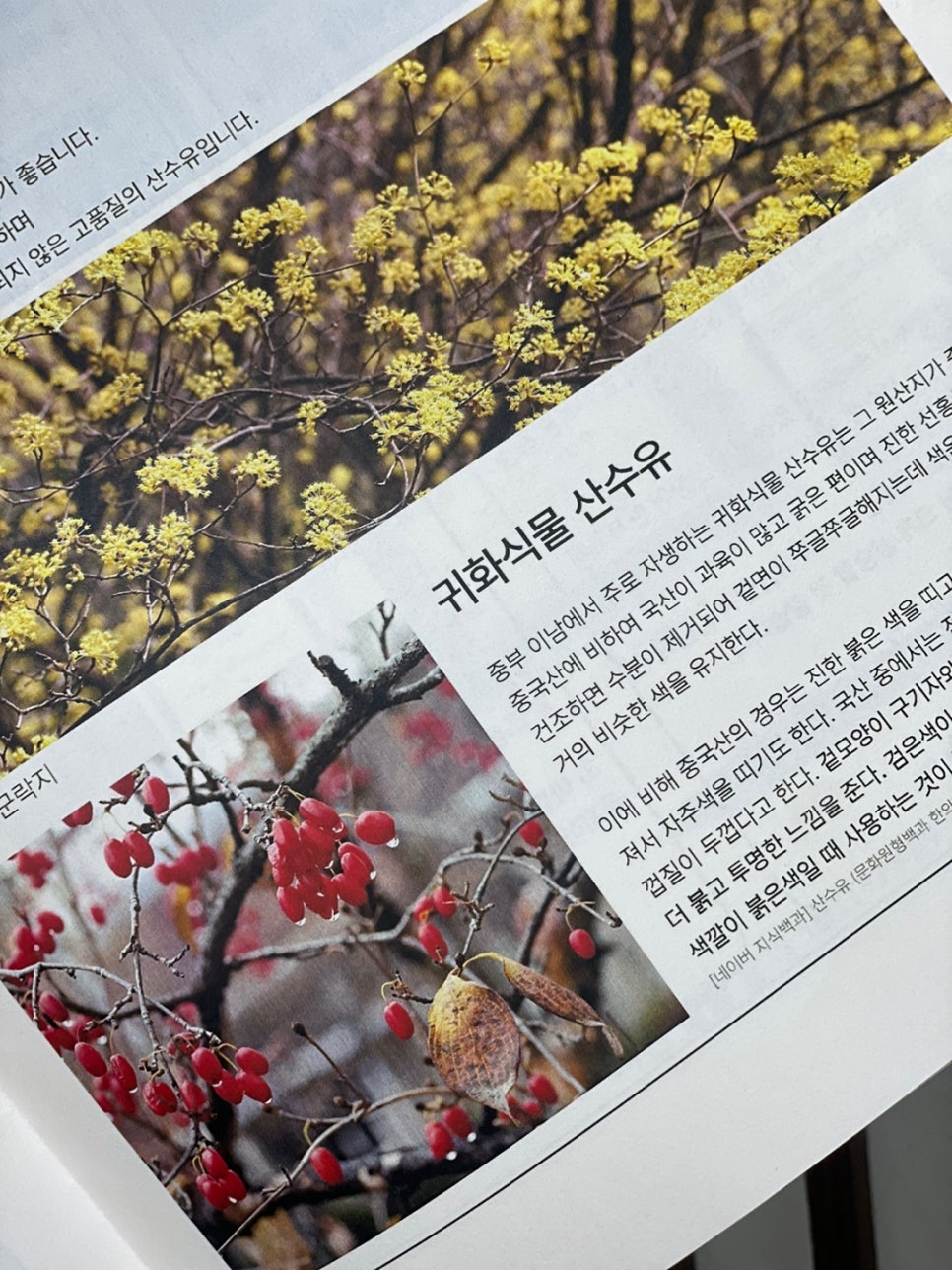 소창한의원 이미지