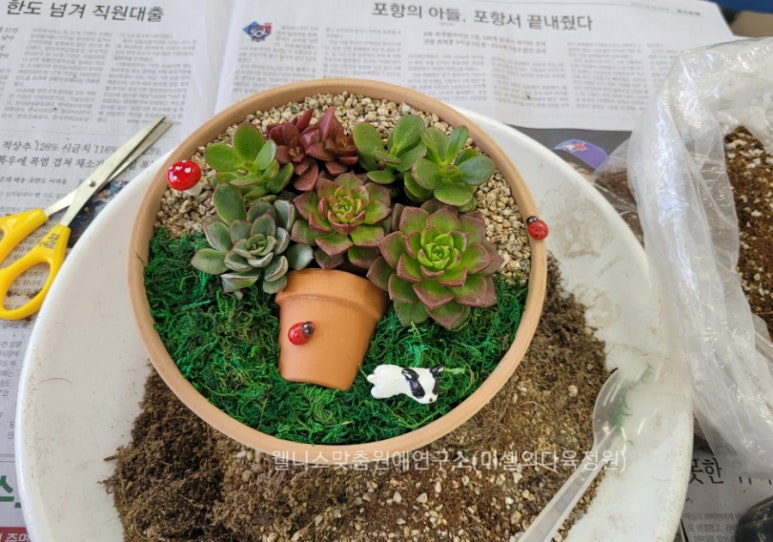 한국웰니스맞춤원예연구소 이미지