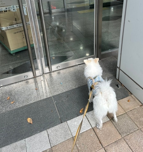 모모사진관 이미지