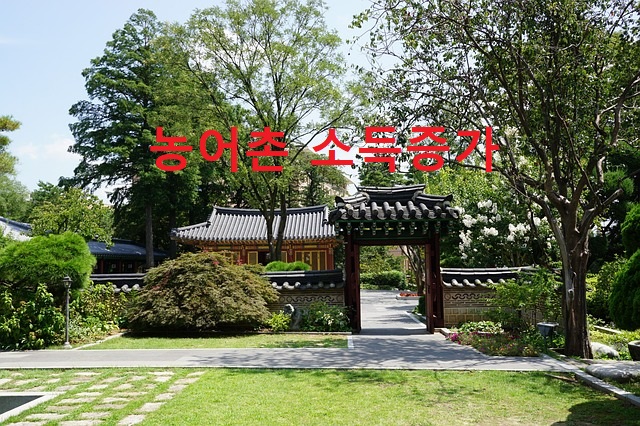 세종행정사 이미지