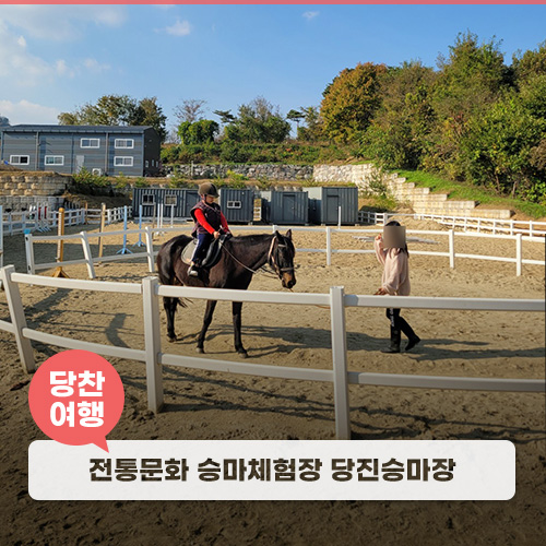당진승마장-전통문화승마체험장 이미지