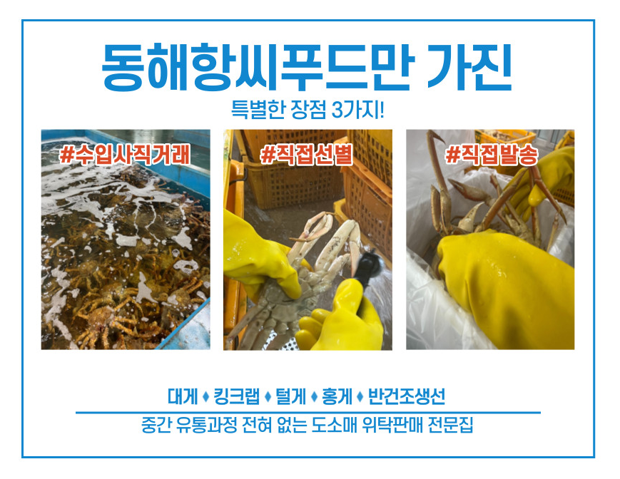 동해항씨푸드 이미지