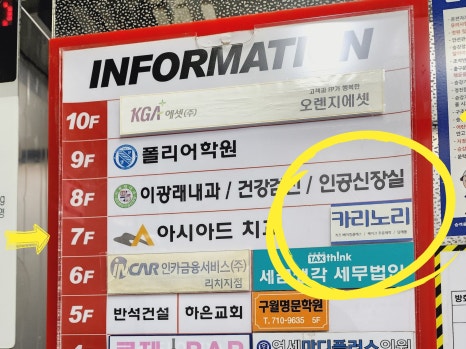 카리노리 이미지