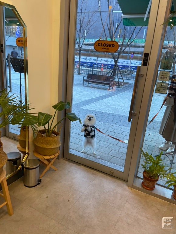 과일카세 이미지