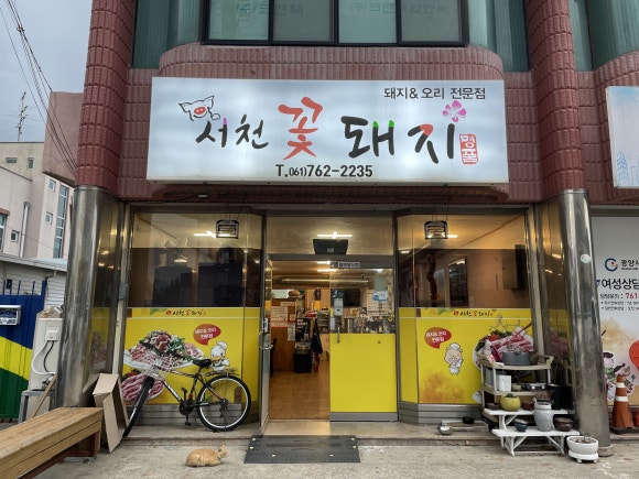 서천꽃돼지 이미지