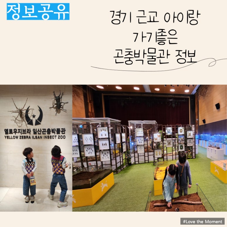 (주)옐로우지브라 이미지