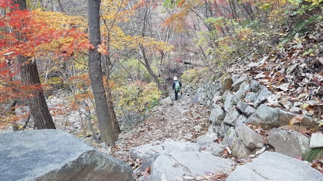 바다를누리다 이미지