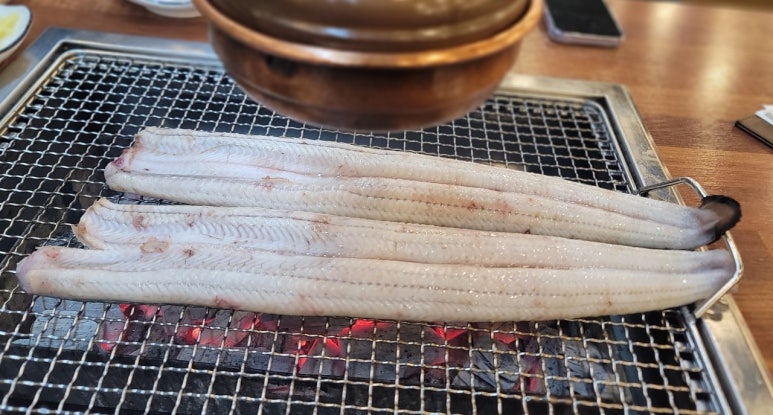 장어시대 이미지