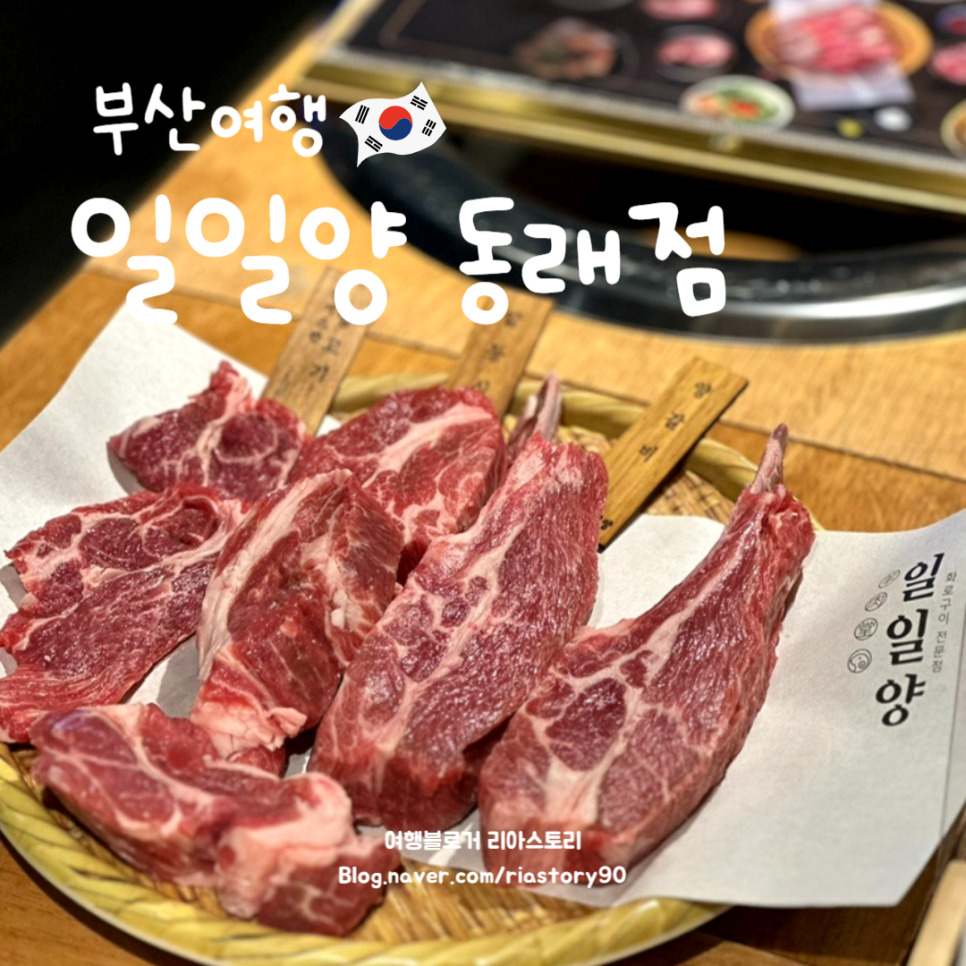 일일양 동래점 이미지