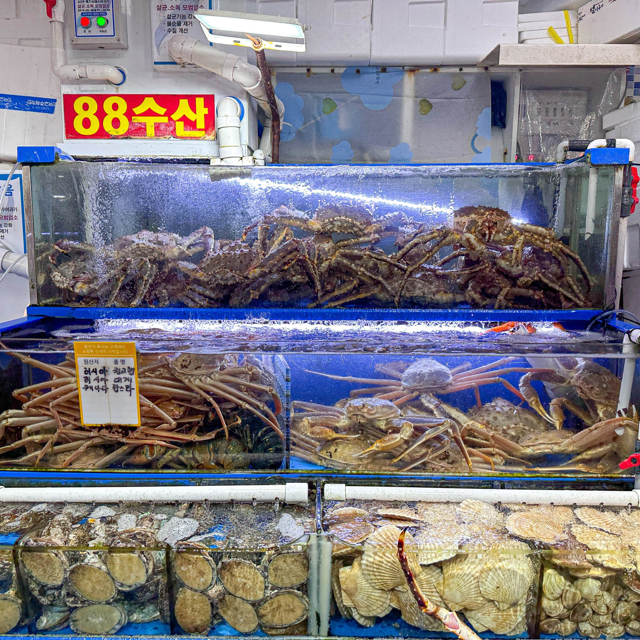 88수산 이미지