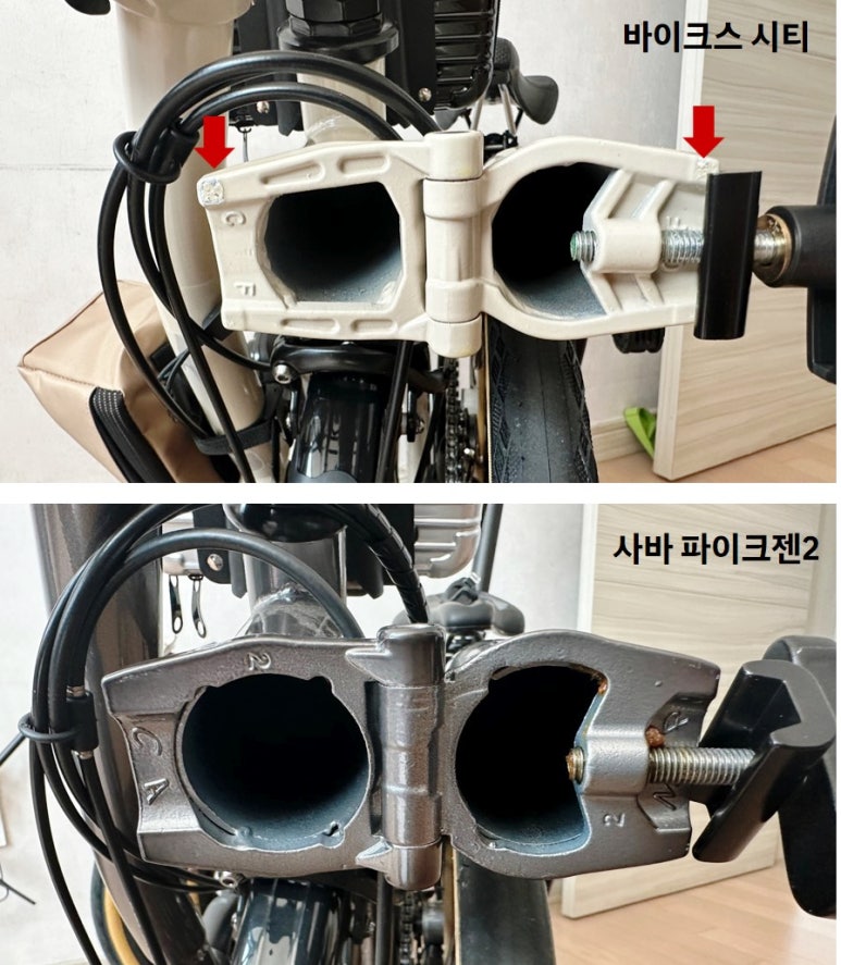 사바조이 이미지