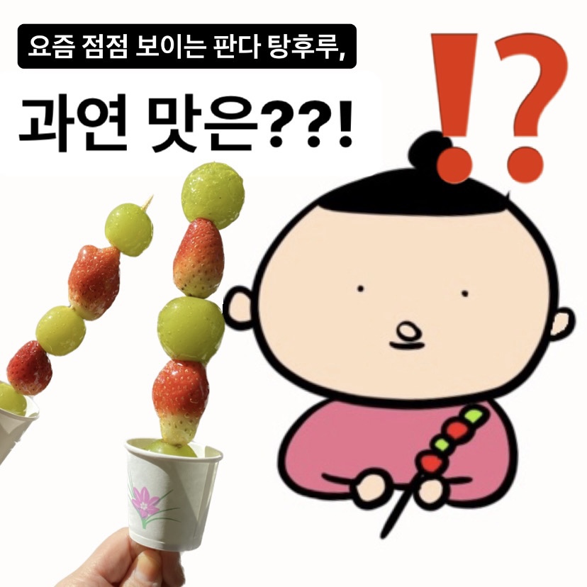 판다탕후루 이미지